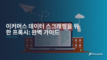 이커머스 데이터 스크래핑을 위한 프록시: 완벽 가이드
