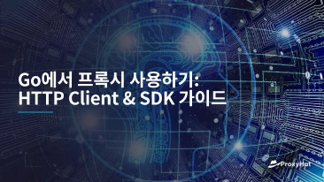 Go에서 프록시 사용하기: HTTP Client & SDK 가이드