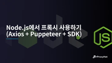 Node.js에서 프록시 사용하기 (Axios + Puppeteer + SDK)
