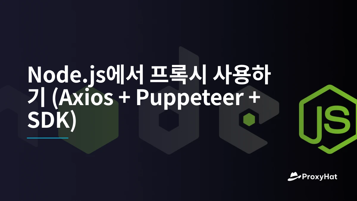 Node.js에서 프록시 사용하기 (Axios + Puppeteer + SDK)