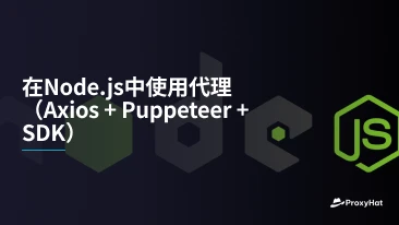 在Node.js中使用代理（Axios + Puppeteer + SDK）