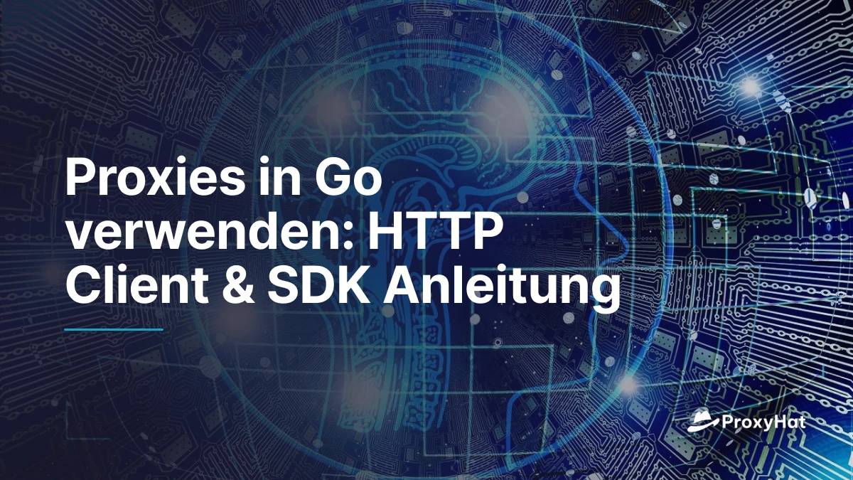 Proxies in Go verwenden: HTTP Client & SDK Anleitung