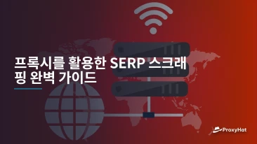 프록시를 활용한 SERP 스크래핑 완벽 가이드