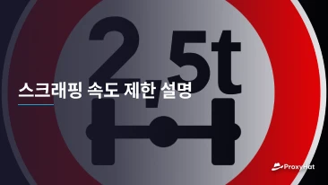 스크래핑 속도 제한 설명