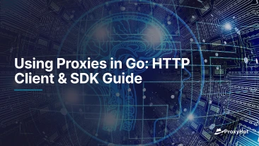 Using Proxies in Go: HTTP Client & SDK Guide